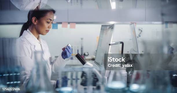 Asian Microbiologist During Research Using Microscope Looking Through Glassware Stock Photo - Download Image Now