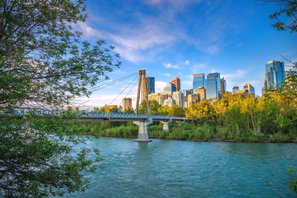 istock Bridge Over The Bow River In The Morning 1256322429