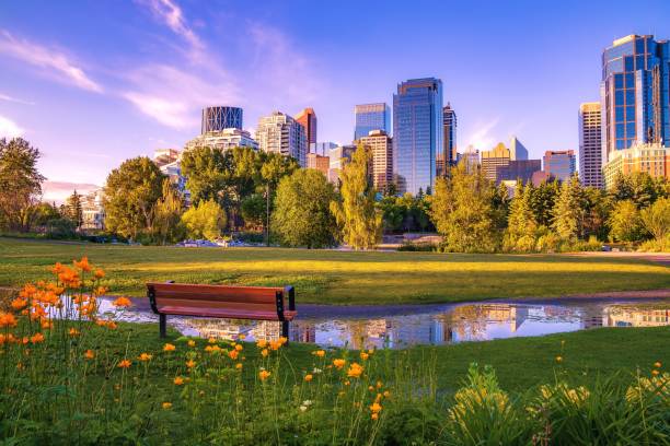 Summer Park Views Facing Downtown Calgary stock photo