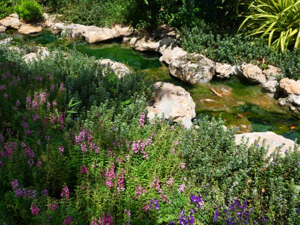 istock Waterways in Garden 1256322704
