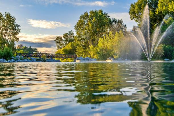 istock Water Fountain In A Summer Park 1256322732