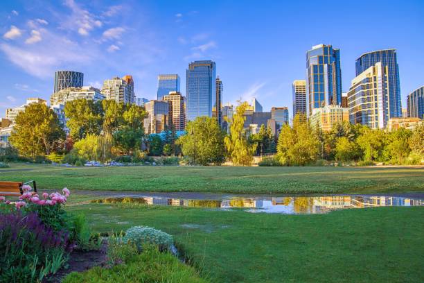 istock Downtown Calgary Buildings Reflecting In A Summer Park 1256323828
