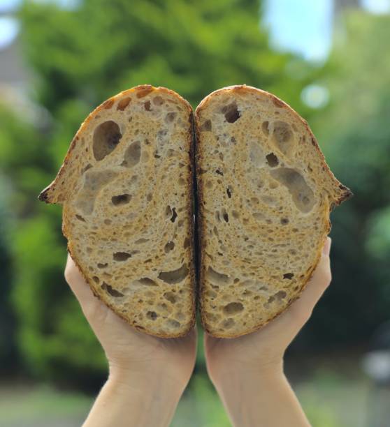istock Light whole wheat sourdough bread with added carrot 1256328327