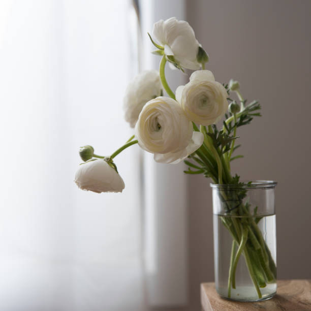 istock Flowers for you 1256329605