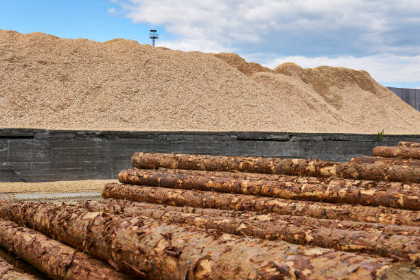 piles de billots et de tas de sciure de bois dans la cour de bois - unbarked timber photos et images de collection