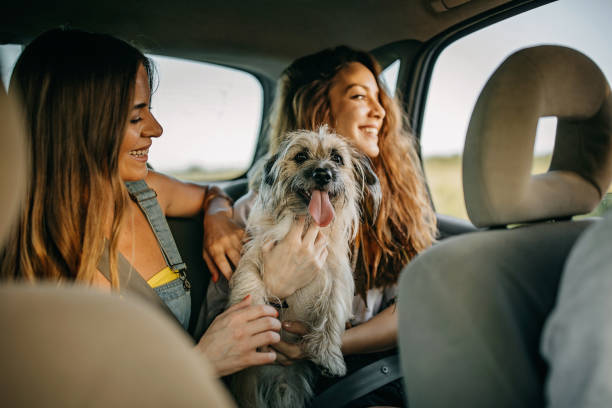 istock Friends enjoying the trip 1256329919