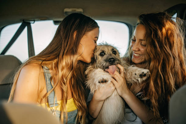istock Friends enjoying the trip 1256329936