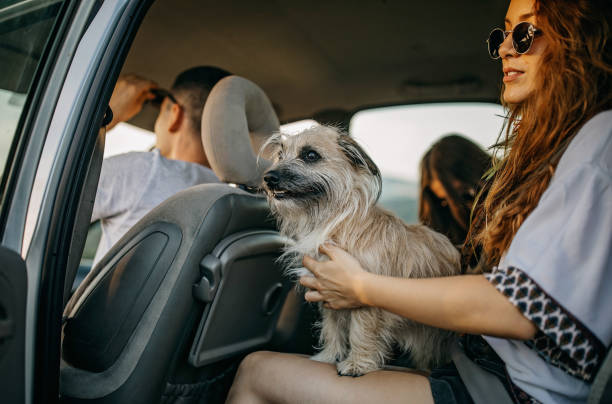istock Friends enjoying the trip 1256329968