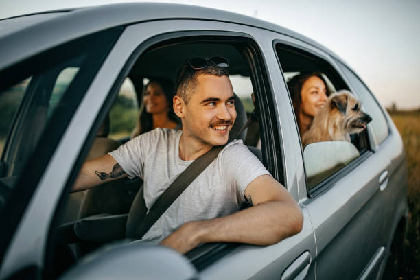 istock Friends enjoying the trip 1256329992
