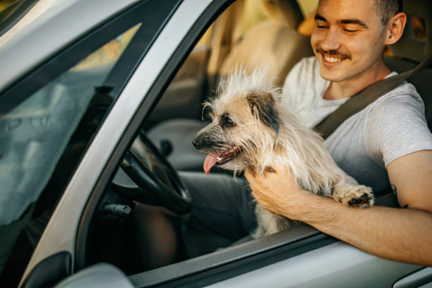 istock A man and his dog enjoying the trip 1256330076