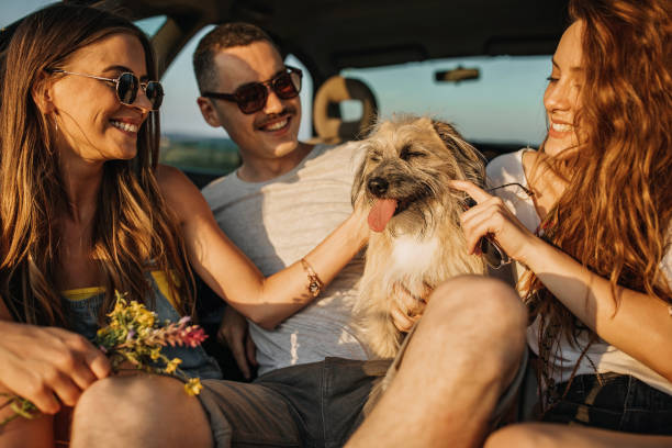 istock Friends enjoying the trip 1256330286