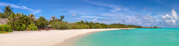 istock Tropical beach in the Maldives 1256330486
