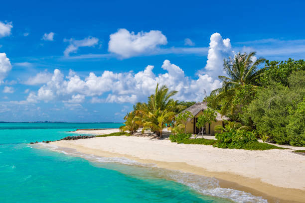 istock Tropical beach in the Maldives 1256331109