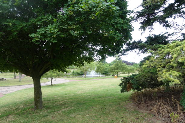 istock Public park around a pond in the Paris region 1256335954