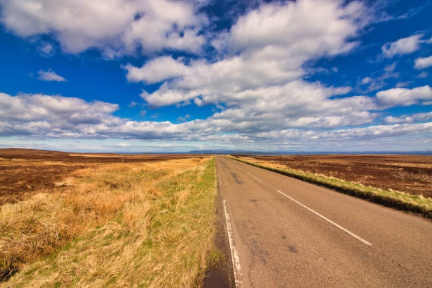 istock Great view to the Orkney Islands 1256340117