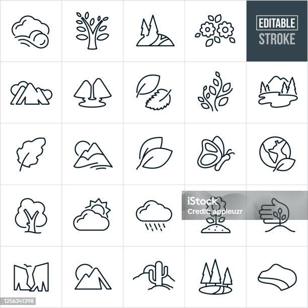 Symbols Of Nature Thin Line Icons Editable Stroke Stock Illustration - Download Image Now