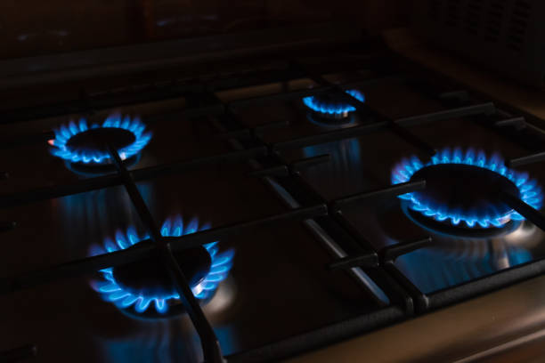 istock Four burning burners with blue flames on the gas stove 1256344155