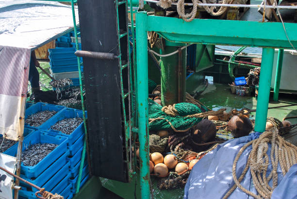 морской корабль с тралом, веревкой и шпротой ловят в синих ящиках - fishing nautical vessel small men стоковые фото и изображения