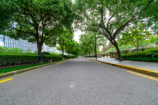 The city's tree-lined asphalt roads.