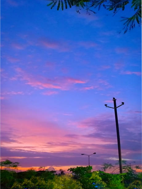 Silhouette Of Trees At Dusk Landscape with sky, clouds and sunrise a panoramic view