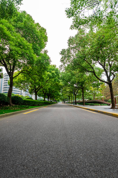istock The city's tree-lined asphalt roads. 1256350996