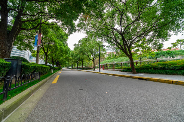 istock The city's tree-lined asphalt roads. 1256351007