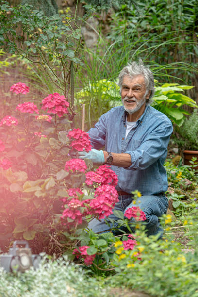 istock Senior adult gardening 1256353225