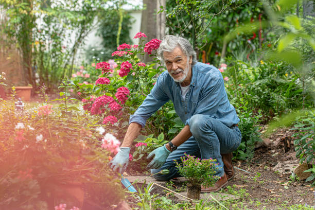 istock Senior adult gardening 1256353253