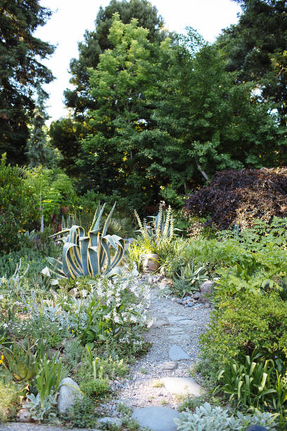 istock Landscaped Garden 1256356005