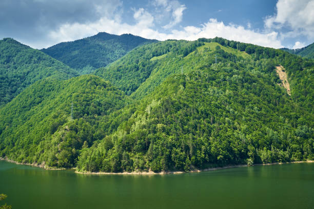 istock Lake in the mountains 1256357696