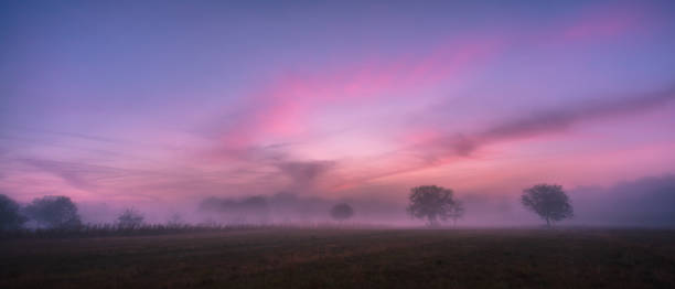 istock Mystic sunrise on the fields 1256361448
