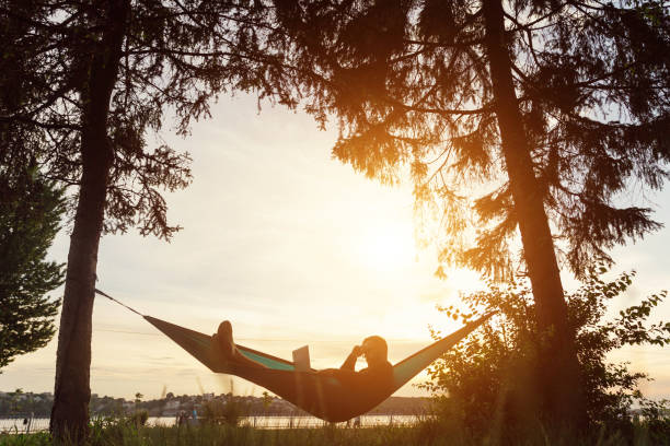 istock Silhouette of freelancer working in hammock in park at sunset 1256362560