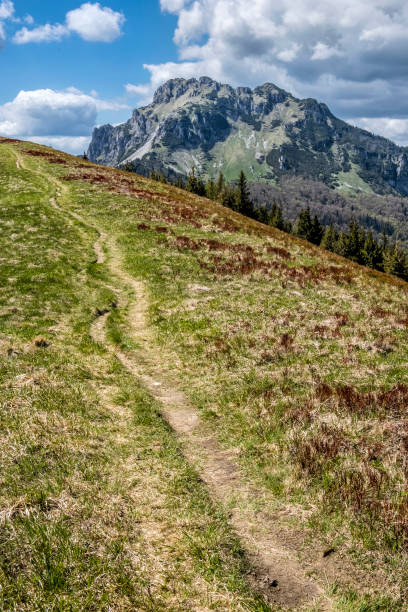 istock Big Rozsutec, Little Fatra, Slovakia, springtime scene 1256364358