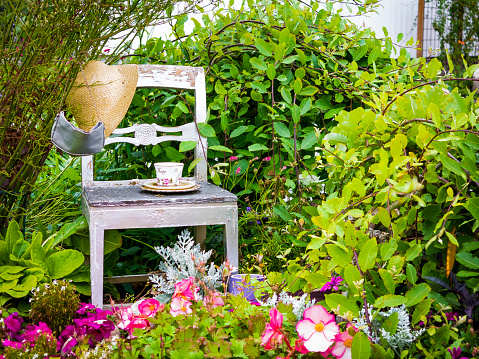 Tea cup on a chair in an flowerbed