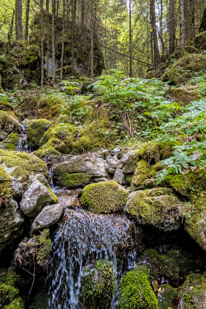 istock Huciaky gorge, Low Tatras mountains, Slovakia 1256365057