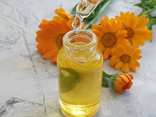 istock cosmetic oil flower calendula 1256365064