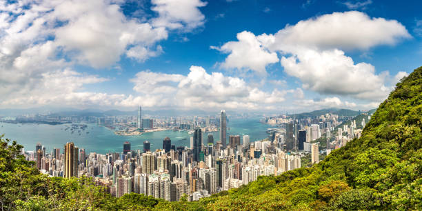 istock Panoramic view of Hong Kong 1256366152