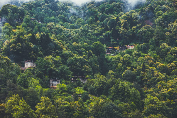 リゼの緑の森の丘の上の高原の家, ブラックシー地域, トルコ - town village hill panoramic ストックフォトと画像