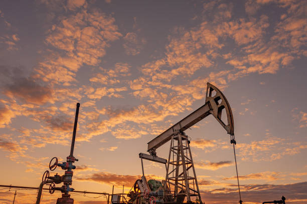 petroleum concept. oil pump rig. oil and gas production. oilfield site. pump jack are running. drilling derricks for fossil fuels output and crude oil production. global crisis. war on oil prices. - fuel pump gasoline fossil fuel natural gas imagens e fotografias de stock