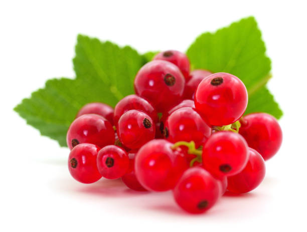 istock Red currants with green leaves. 1256367947