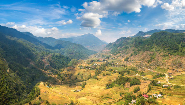 istock Terraced rice field in Sapa 1256368018