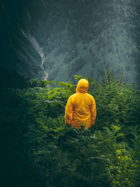 istock Young man standing in the moody forest natural area alone 1256368365