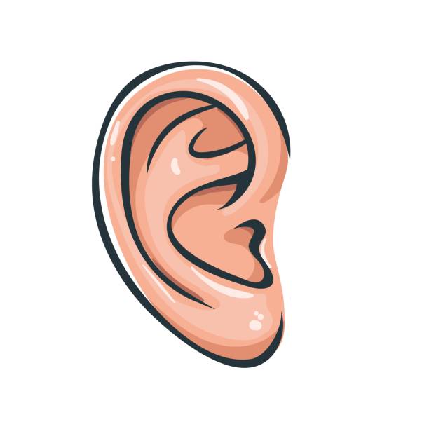 44,426 Cartoon Ear Stock Photos, Pictures & Royalty-Free Images - iStock | Human  ear, Big ear