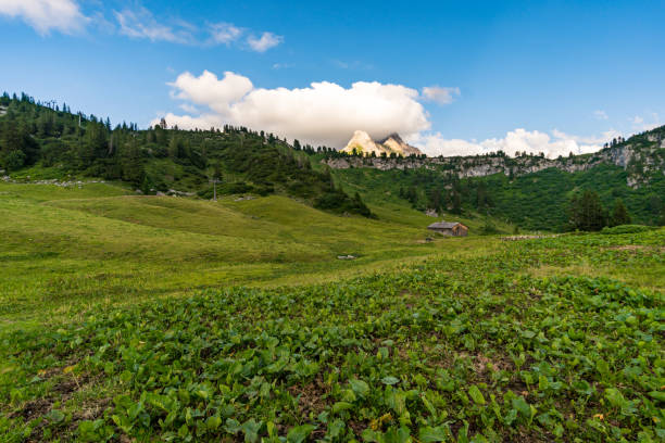 fantastica escursione nelle splendide montagne lechquellen - kalbelesee foto e immagini stock