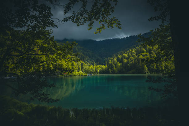 Beautiful scenery landscape of the Karagöl lake surrounded with forest on sunrise in Borçka, Artvin, Turkey