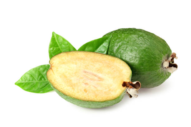 feijoa de fruta tropical con rodajas aisladas sobre fondo blanco. acca sellowiana - feijoas ripe fruit iodine fotografías e imágenes de stock