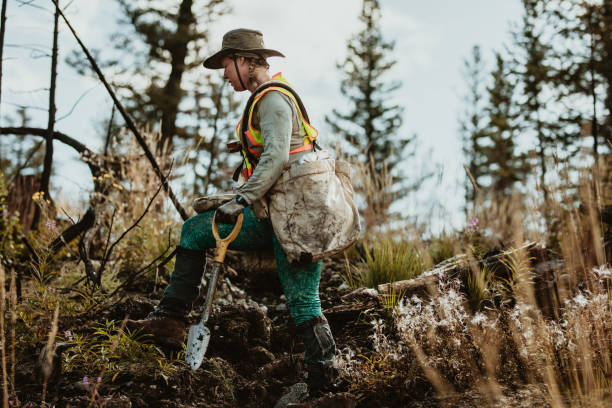 istock Woman working in forest planting new trees 1256374159