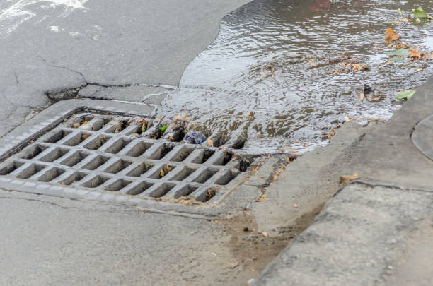 istock Water drains into a storm drain on the road close-up 1256375769