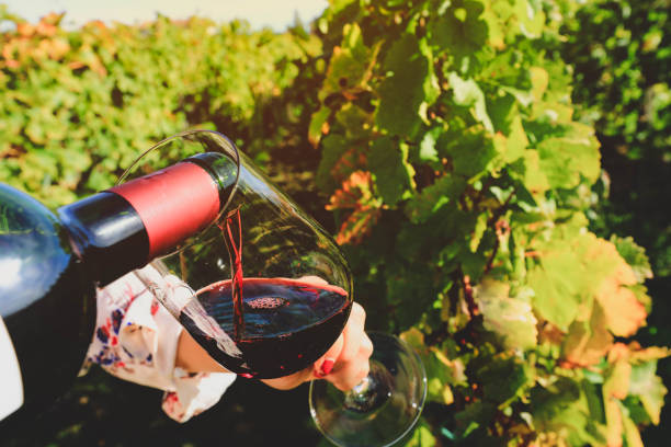 res вино заливки бокал вина - ground healthy eating colors liquid стоковые фото и изображения