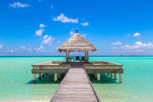 istock Water Villas (Bungalows) in the Maldives 1256375914